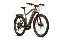 Load image into Gallery viewer, Haibike Trekking 4.0 2020