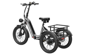 Mokwheel Granite Tricycle